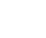 wok169